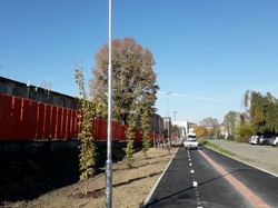 Společná stezka pro chodce a cyklisty na ulici Rybníčky v Novém Jičíně byla dokončena