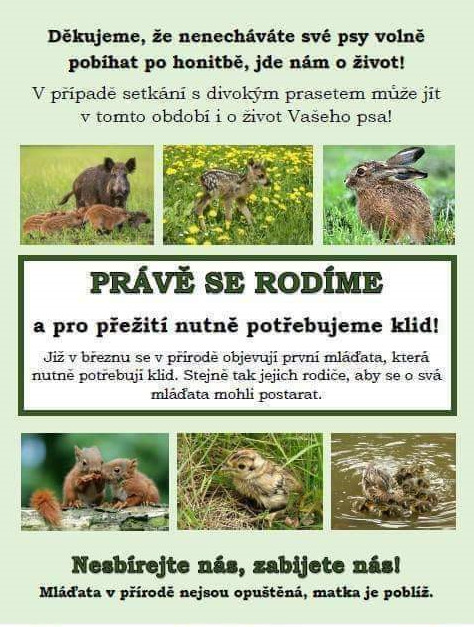 Plakát s pokyny ohledně zvířecích mláďat