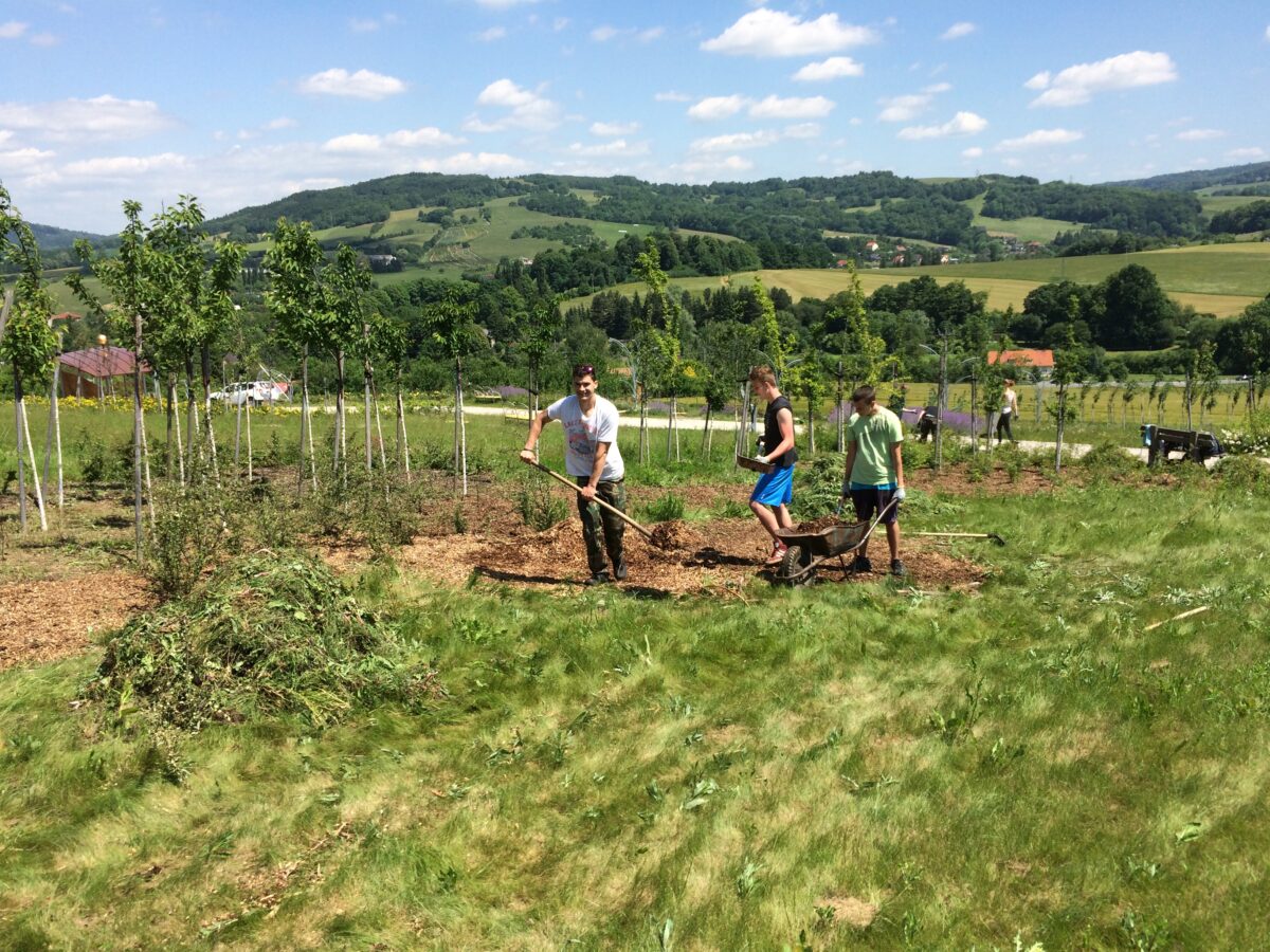 Tři studenti vykonávající pomocní práce v rámci letní brigády organizované městem Nový Jičín