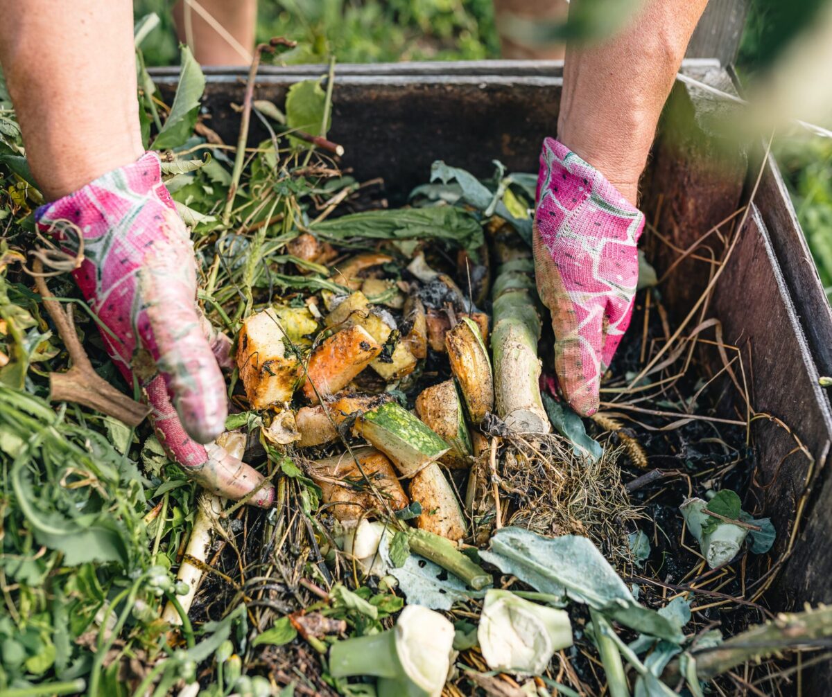 ruce člověka v rukavicích sbírají biodpad