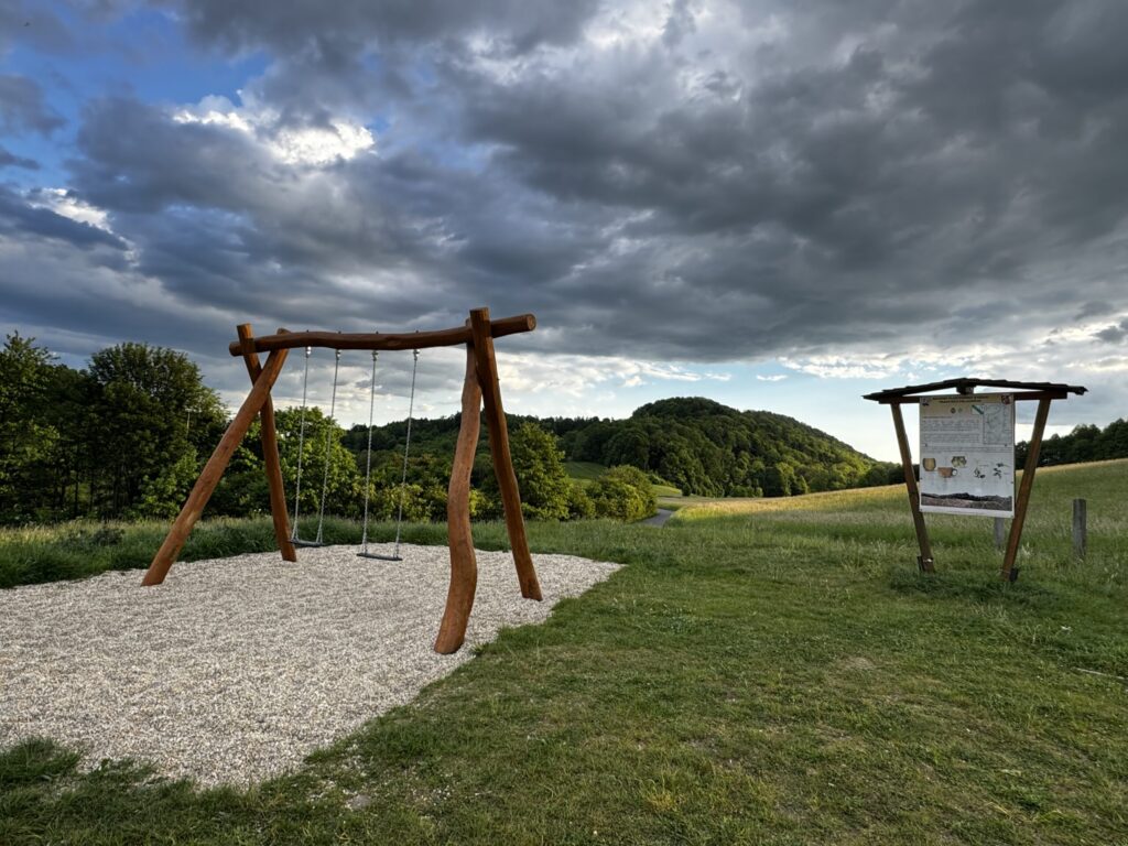 v roce 2023 vznila v rámci Projektů pro Nový Jičín houpačka v Kojetíně