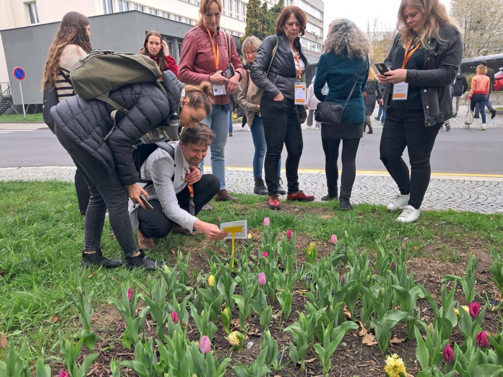 Účastníci konference si fotografují květinový záhon ve městě