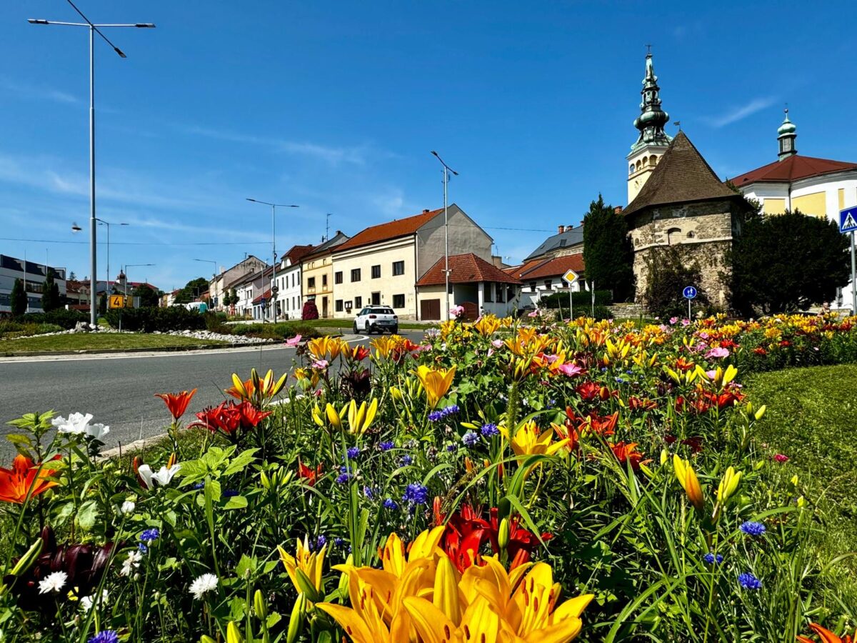 květinový záhon ve městě