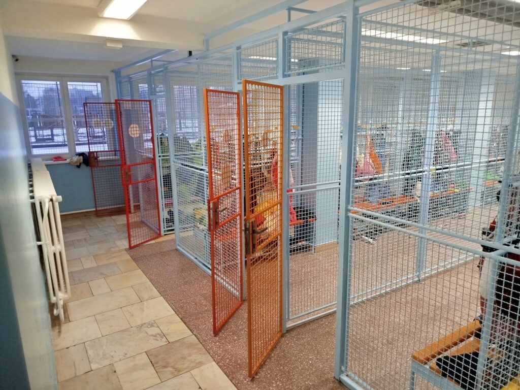 šatny v ZŠ Komenského 68 před rekonstrukcí