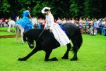 ludwig-12.jpg