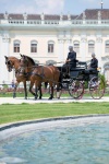 ludwig-13.jpg